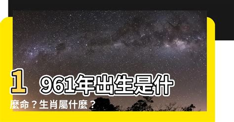 1961年出生|1961年